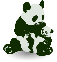 Panda & Baby Panda