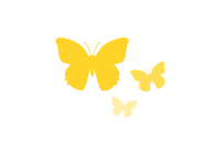 butterflies