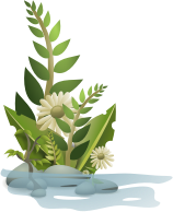 Plants nogloss