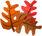 Leaves ns