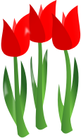 Flowers ns