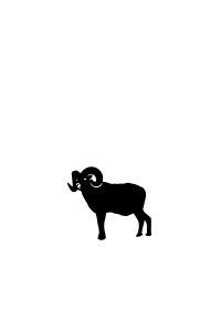 Ram standing