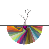 Raices coloridas