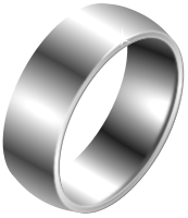 ring not very realistic silver 