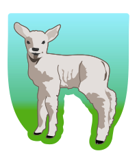 young lamb