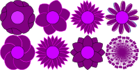 Strange flowers