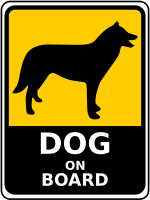 Dog On Board