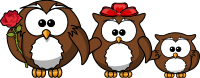 Family of owls