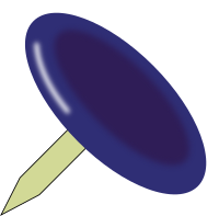 pin