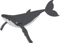 Baleine