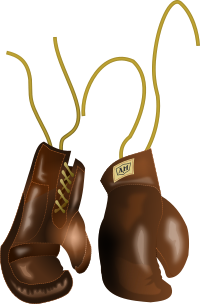 Vintage Leather Boxing Gloves