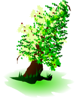 apple tree oil painting