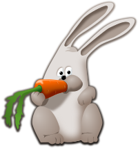 bunny eating carrot