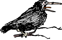 Nutty Crow