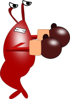Fighting Shrimp
