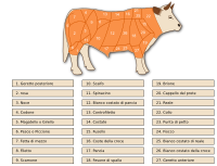 Tagli bovini - Beef cuts