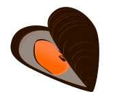Mussel / MejillÃ³n