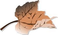 Brown leaf