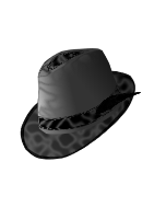 hat