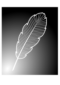 feather