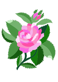 Design for damask rose
