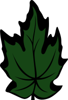 Leaf