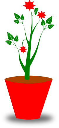 Flower Pot