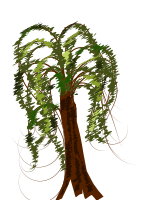 Brown Tree