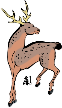 Sika Deer