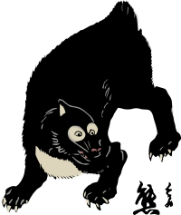 Asian black bear