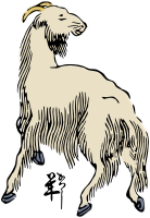 Sheep