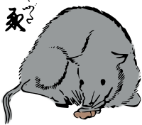 AGU-Pig