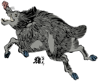 Wild boar