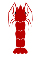 Shrimp