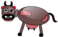 Mucca