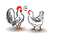 rooster and chicken