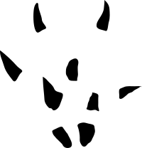 Mouse footstep/track (front)