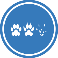 Cat-Dog-Mouse Unification Peace Logo