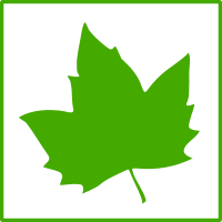 eco green leaf icon