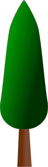 plain-tree