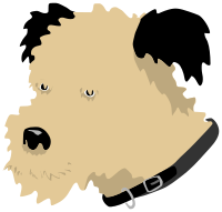 Perro