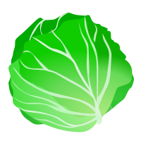 cabbage