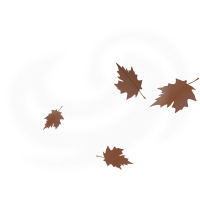weather icon - windy