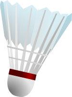 Badminton Shuttlecock