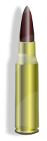 bullet