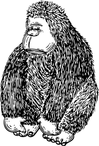 gorilla