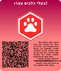 Do not Walk Dogs on Hot Asphalt Roads