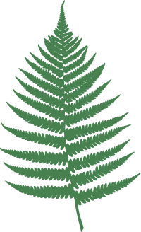 Fern leaf