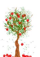 Apple Tree