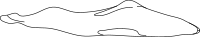 Stylized Seal